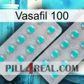 Vasafil 100 29